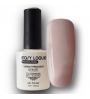 VERNIS PERMANENT EASY LAQUE AXESS 019